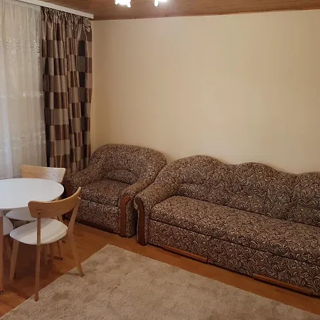 Pensjonat U Neli Solochin